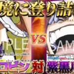 【ワンピースカード】紫混色対決！！紫黄ロビンvs紫黒ルフィ！