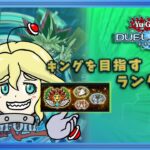 【遊戯王DUELLINKS】タラちゃん、年末ですよ！（スケジュール告知）【ラッシュデュエル】