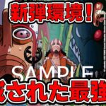 【ワンピースカードゲーム】新弾環境！完成された最強色！！青黒ウソップで青ドフラミンゴと対戦してみた【王族の血統】ONE PIECE Card Gme「なべりっじトレカチャンネル」