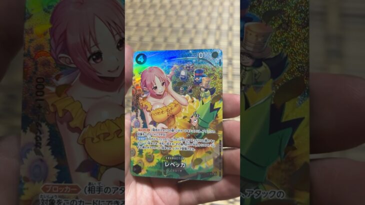 【ONEPIECE】双璧の覇者【ワンピース】