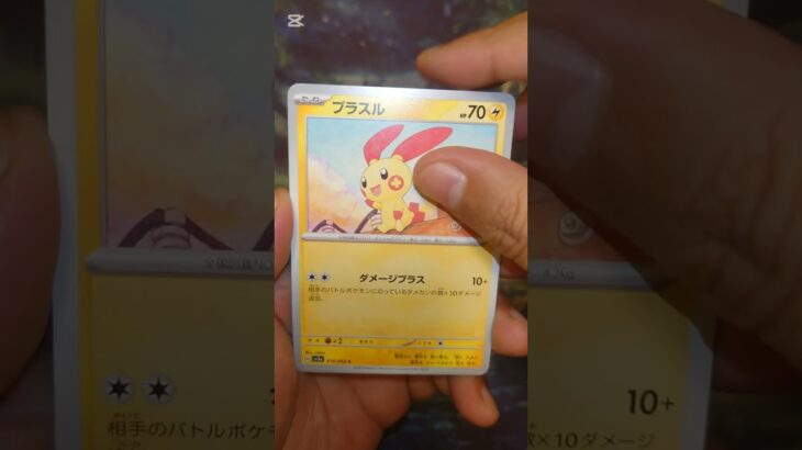 レイジングサーフ #ポケモンカード  #ポケモン  #ポケカ #ポケポケ  #ポケカ開封  #pokemon #pokemontcg #テラスタルフェス