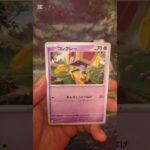 レイジングサーフ #ポケモンカード  #ポケモン  #ポケカ #ポケポケ  #ポケカ開封  #pokemon #pokemontcg #テラスタルフェス