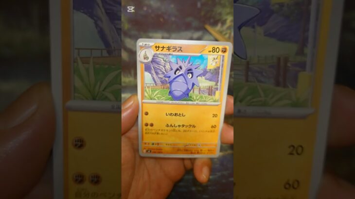 黒炎の支配者  #ポケモンカード  #ポケモン  #ポケカ #ポケポケ  #ポケカ開封  #pokemon #pokemontcg #テラスタルフェス