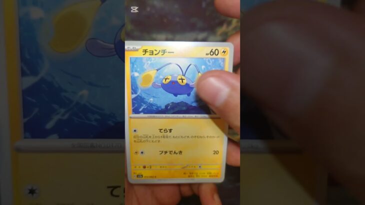 レイジングサーフ #ポケモンカード  #ポケモン  #ポケカ #ポケポケ  #ポケカ開封  #pokemon #pokemontcg #テラスタルフェス