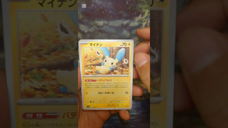 レイジングサーフ #ポケモンカード  #ポケモン  #ポケカ #ポケポケ  #ポケカ開封  #pokemon #pokemontcg #テラスタルフェス