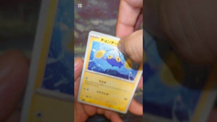 レイジングサーフ #ポケモンカード  #ポケモン  #ポケカ #ポケポケ  #ポケカ開封  #pokemon #pokemontcg #テラスタルフェス