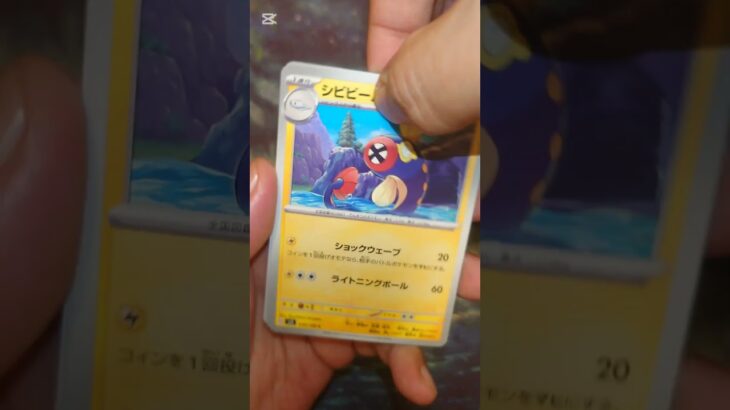 黒炎の支配者 #ポケモンカード  #ポケモン  #ポケカ #ポケポケ  #ポケカ開封  #pokemon #pokemontcg #テラスタルフェス