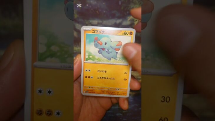 レイジングサーフ #ポケモンカード  #ポケモン  #ポケカ #ポケポケ  #ポケカ開封  #pokemon #pokemontcg #テラスタルフェス