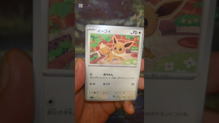 黒炎の支配者 #ポケモンカード  #ポケモン  #ポケカ #ポケポケ  #ポケカ開封  #pokemon #pokemontcg #テラスタルフェス