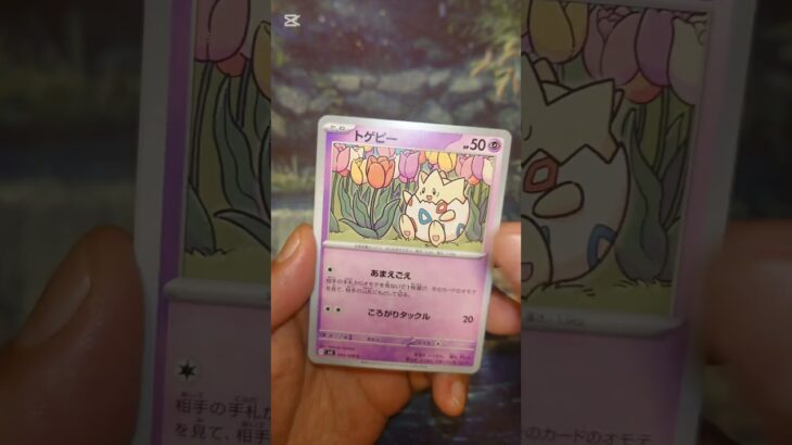 黒炎の支配者 #ポケモンカード  #ポケモン  #ポケカ #ポケポケ  #ポケカ開封  #pokemon #pokemontcg #テラスタルフェス