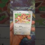 黒炎の支配者 #ポケモンカード  #ポケモン  #ポケカ #ポケポケ    #pokemon #pokemontcg #shortvideo  #shorts  #short #テラスタルフェス