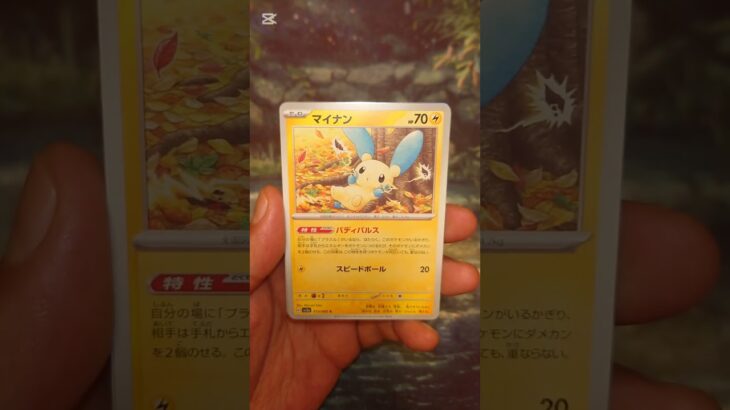 レイジングサーフ #ポケモンカード  #ポケモン  #ポケカ #ポケポケ  #ポケカ開封  #pokemon #pokemontcg #shortvideo  #shorts  #short