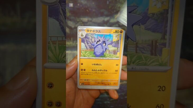 黒炎の支配者 #ポケモンカード  #ポケモン  #ポケカ #ポケポケ  #ポケカ開封  #pokemon #pokemontcg #shortvideo  #shorts  #short