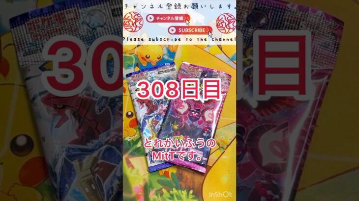 【ポケカ】308日目 ナイトワンダラー レイジングサーフ #ポケカ #レイジングサーフ #ナイトワンダラー #ポケカ開封 #ポケモンカード #開封動画 #PTCG #宝可梦卡牌 #pokemon
