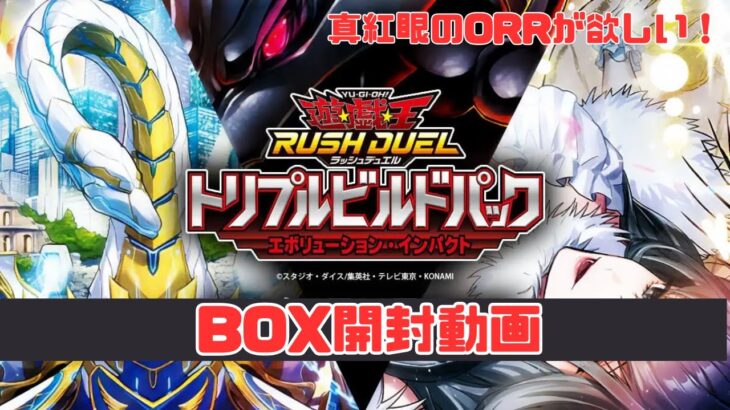 【BOX開封】エボリューションインパクトBOX開封！【遊戯王ラッシュデュエル】