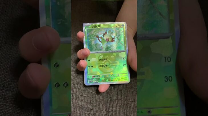 [ポケカ]テラスタルフェスex バラ開封20 マスボ　 #pokemoncards  #ポケモンカード