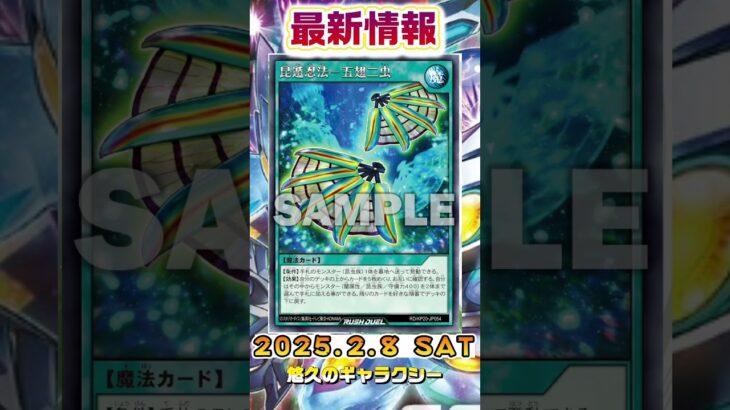 【遊戯王ラッシュデュエル】収録予定新カード情報！【最新情報】#shorts