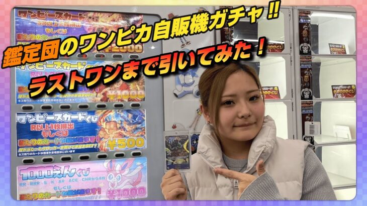 【鑑定団】久しぶりの自販機ガチャオリパをラストワンまで引いてみた‼【ワンピースカード】