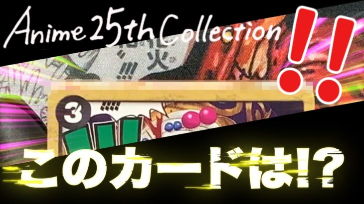 【ワンピースカード】2025年ワンピカ最初の新弾「アニコレ」を12BOX開封！ONE PIECE CARD GAME「エクストラブースター Anime 25th Collection」開封【EB02】