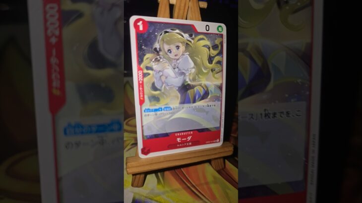 Moda モーダ Ryusoken 竜爪拳 Dragon Claw Fist keep out 立ち入り禁止  One Piece ワンピース