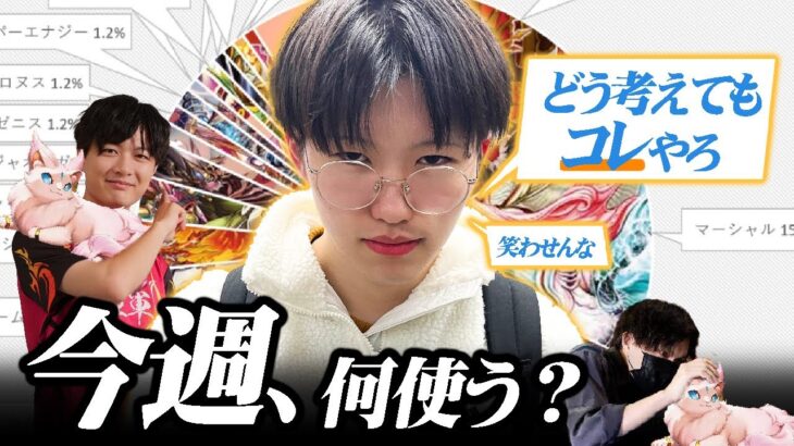 今週、何使う？デュエパデッキの猫が活躍の予感！？【デュエマ環境考察】