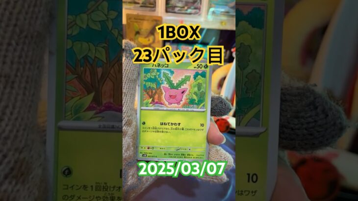 【クレイバースト】新弾まであと1週間！まちきれないー！＃short#ポケモン＃pokemon