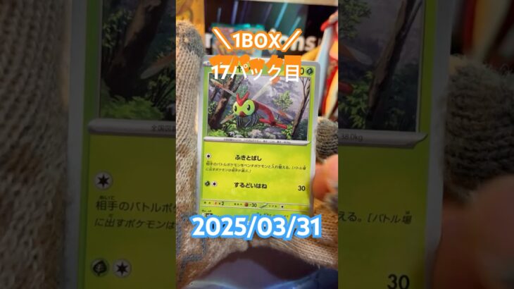 【熱風のアリーナ】明日から4月！気持ち新たに頑張ろう！＃short#ポケモン＃pokemon