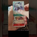 ONE PIECE [OP-05] Awakening of the New Era! Lucci Rob OP05-093 SR Parallel FOIL Pull! ワンピースカード🎴🚀