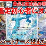 【ポケカ投資】PSA初心者にオススメのカード３選！バトルパートナーズはまだ狙える・・・！【ポケカ】【Pokémon】【ポケモン】【ポケモンカード】【再販】【ロケット団の栄光】【テラスタルフェス】