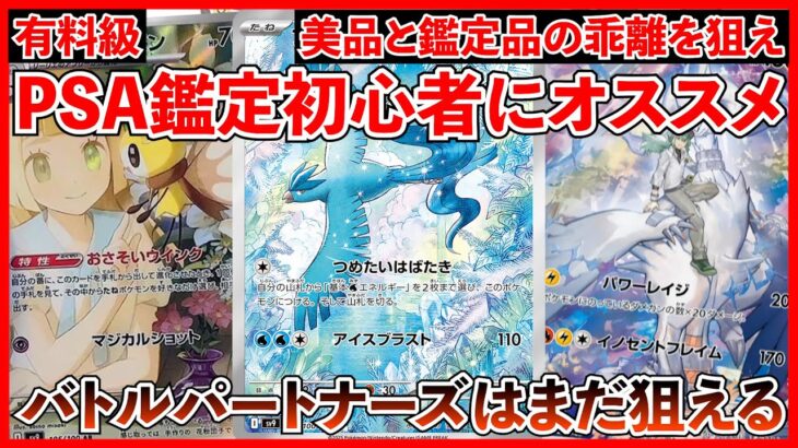 【ポケカ投資】PSA初心者にオススメのカード３選！バトルパートナーズはまだ狙える・・・！【ポケカ】【Pokémon】【ポケモン】【ポケモンカード】【再販】【ロケット団の栄光】【テラスタルフェス】