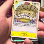 ワンピースカードゲーム　神速の拳開封　来たぞ新弾だ！