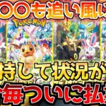 【ポケカ】本来の素質が発揮された..??各方面で最強の進撃が止まらない!!【ポケモンカード最新情報】