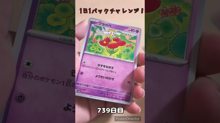 【ポケカ】1日1パックチャレンジー！クリムゾンヘイズ #shorts