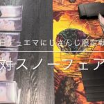 2025年3月31日　デュエマにじさんじ限定戦決勝！天門対スノーフェアリー