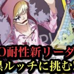 【ワンピースカード】新ロシナンテのKO耐性がささる!!黒ルッチvs紫黄ロシナンテ