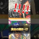 【ワンピースカード】久々にアニコレ開封！新弾「師弟の絆」に向けてONE PIECE CARD「エクストラブースター Anime 25th Collection」開封♯12【EB-02】