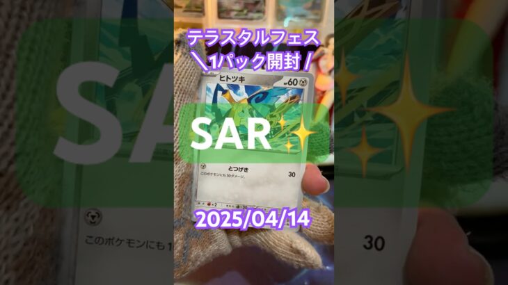 【テラスタルフェス】本日もSARに会えました☺︎！＃short#ポケモン＃pokemon