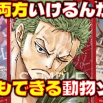 【対戦動画】 好守共に優れもの？！動物型ゾロが強すぎる！赤ゾロVS緑紫ルフィ