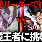 【ワンピースカード】紫黄ロシナンテVS青紫ルフィ　新弾カードの紫黄ロシナンテを使って青紫ルフィと戦ってみた！　対戦動画