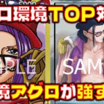 [対戦動画] 現環境立ち位置良好もアグロリーダー対決！！ 赤黄ベロベティVS赤緑スモーカー