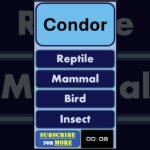 Vocabulary Vanguard: English Quiz for Bold Word Seekers 🔍