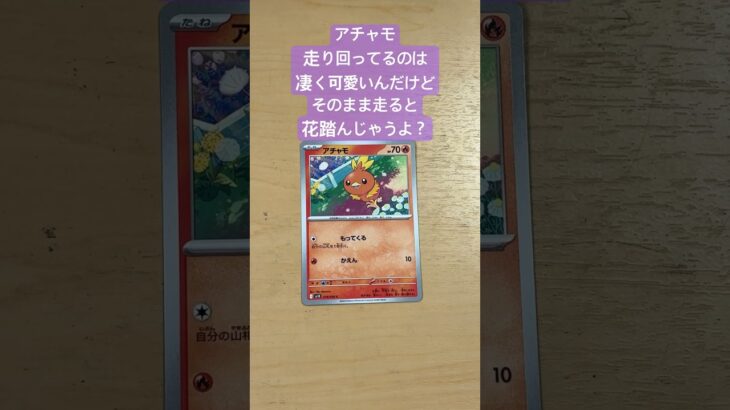 【ポケモンカード】ロケット団のミュウツーex SARを狙って新弾の「ロケット団の栄光」を1パック開封します！【ポケモン】