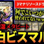 アーチーがひそかに研究していた秘蔵デッキ『青白ビスマルク』を紹介します【デュエマ】