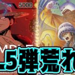 【ワンピースカード】12.5弾荒れる！！！　緑紫ルフィVS緑ボニー！！　初心者・中級者向け