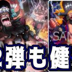 【ワンピースカード】12弾も健在！！！　紫黄ロシナンテVS黒ティーチ！！　初心者・中級者向け