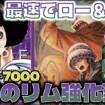 【対戦動画】待望のリム強化?!最速でロー＆ベポ着地で相手一体ロックとリーダーパワー7000が最強です。緑紫リムVS紫黒ルフィ