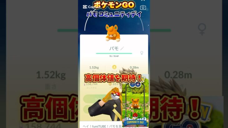 【Pokémon GO】パモ コミュニティデイで良個体ゲットなるか！？【ポケモンGO】