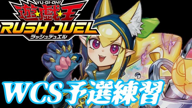 【デュエルリンクス】WCS予選前の調整【遊戯王ラッシュデュエル】