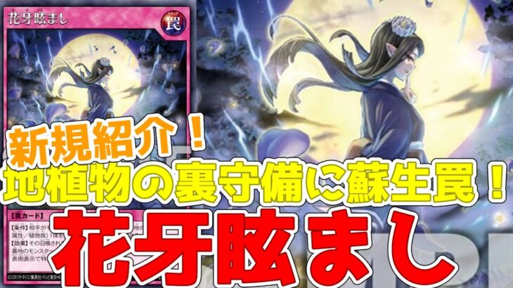 【ラッシュデュエル】新規紹介！花牙眩まし！裏守備に蘇生つきの罠カード！！！【遊戯王】