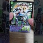 パーフェクトペテンシーチャレンジします #デュエマ